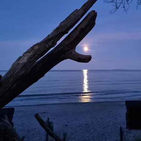 Magni Mit Blick Zum Privatstrand - Odins Blick 23 - Ruhige Lage, Sauna Apartment Lobbe