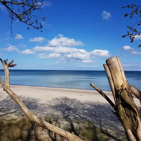 Magni Mit Blick Zum Privatstrand - Odins Blick 23 - Ruhige Lage, Sauna Apartment Lobbe